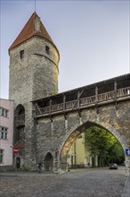 Part of the city wall with a defence tower and a gate