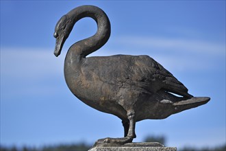 Sculpture of a swan on the shore of the Alpsee Lake