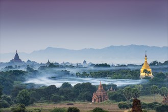 Temples in the morning mist
