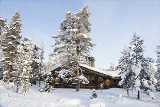 Cottage in the snowy forest