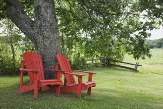 Two red wooden Adirondack chairs under a tree in a residential backyard