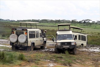 Safari vehicles stuck in the mud