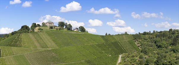 View over the vineyards of Rotenberg towards the Sepulchral Chapel