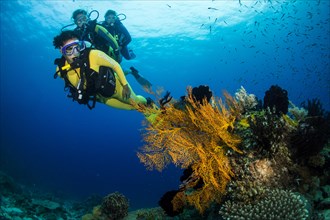Group of scuba divers in a colourful coral reef