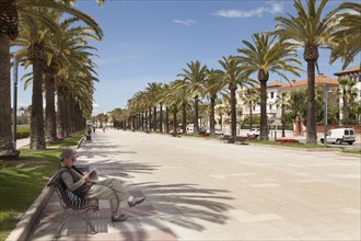 Palm promenade