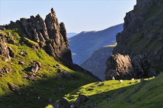 Rock formation on The Storr