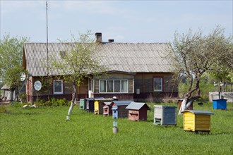 Beehives in front of a house