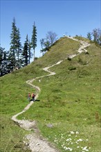 Trail to the peak of Spitzen Stein on the Brundling Alm