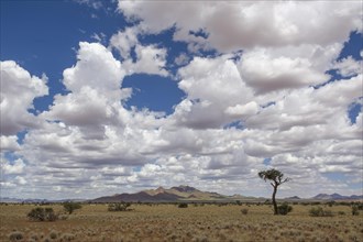 Mountains in the Namib Desert