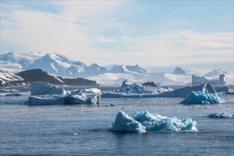 Glacier and icebergs