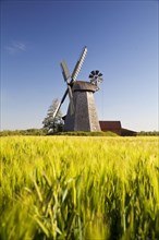 Windmill Bierde behind grain field