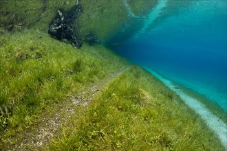 Underwater landscape