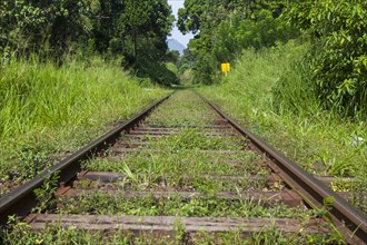 Old train tracks