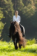 Horsewoman riding a black Friesian horse with a long crest