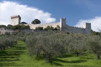 Fortress wall and towers