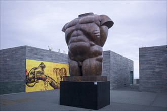 Male Torso by Fernando Botero