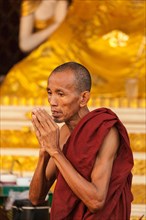 Buddhist monk in morning prayer at the Shwedagon Pagoda