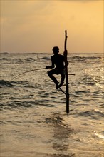 Stilt fisherman fishing in shallow water