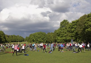 People doing gymnastics in a park