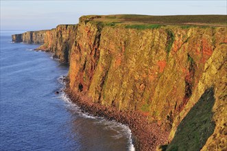Steep coast near Duncansby Head in the morning light