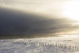 Snow drifts in the fjord