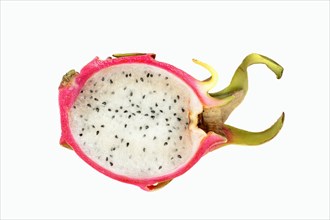 Pitahaya or Dragonfruit (Hylocereus undatus)
