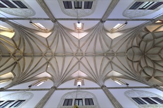 Vaulting of the ceiling