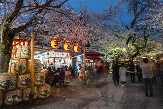 Food stalls at the cherry blossom festival
