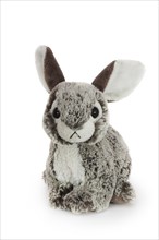 Plush bunny