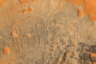Rock engraving of a gazelle attacked by a neolithic rock art
