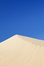 Dune