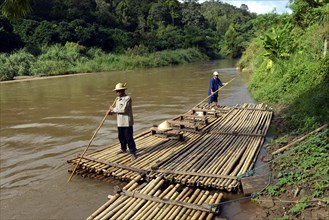 Raft drivers on a bamboo raft on the Mae Tang River