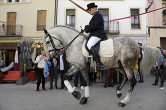 Rider on Andalusian horse at the annual All Saints Market in Cocentaina