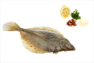 Plaice with butter