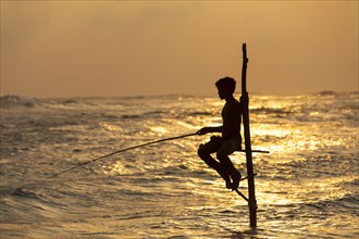 Stilt fisherman fishing in shallow water