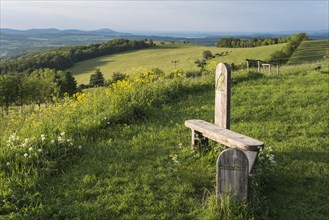 Viewpoint with wooden bench on the Ellenbogen