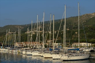 Sailing boats in the harbor