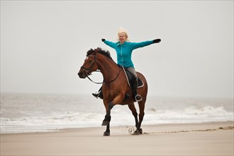 Woman riding freehand on an Andalusian half-breed gelding