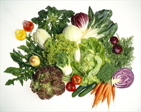 Various types of lettuce or salad and vegetables