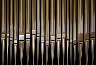 Organ pipes