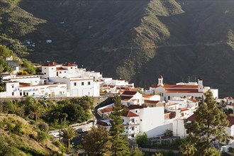 View of Tejeda