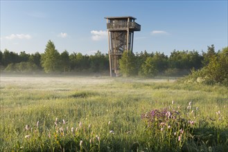 Observation tower in the Schwarzes Moor nature reserve