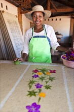 Woman of the Betsileos people producing handmade paper with flowers