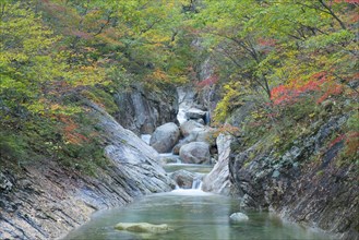Mountain stream in Seoraksan National Park
