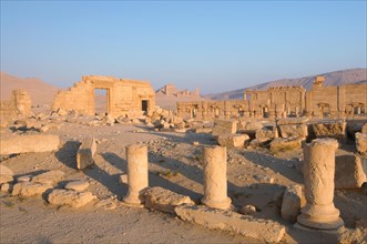 Ruins of the ancient city of Palmyra in the morning light