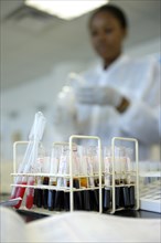 Test tubes with blood samples in the laboratory of the Red Cross blood donation centre