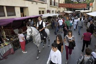 Rider on Andalusian horse at the annual All Saints Market in Cocentaina