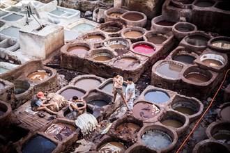 Tanneries where animal hides are traditionally tanned by hand