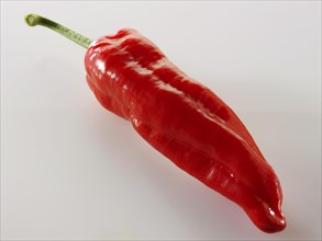 Red sweet pointed peppers