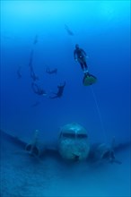 Freedivers at plane wreck Douglas Dakota